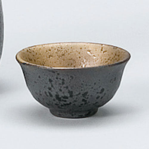 527-00051 金ヌリサビ盃