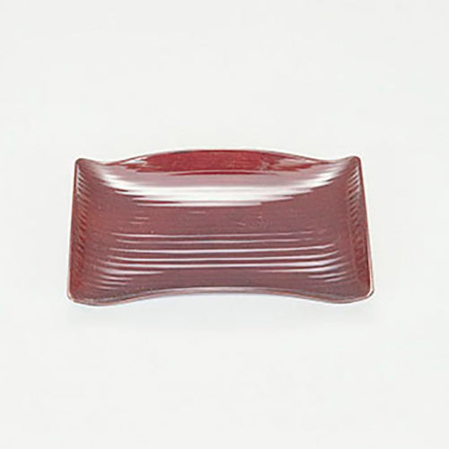 420-42021 岩波皿 タメ