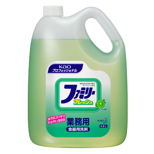 146-10062 ファミリーフレッシュ