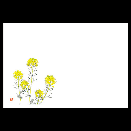 192-10036 尺3雲竜和紙マット 菜の花(3・4月)