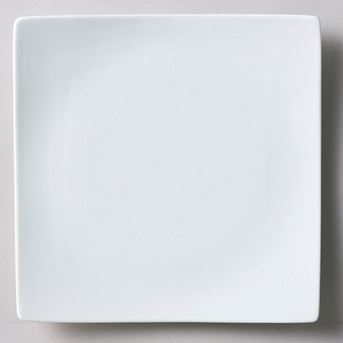 546-00005 ALPHA(アルファ) 25cm正角皿