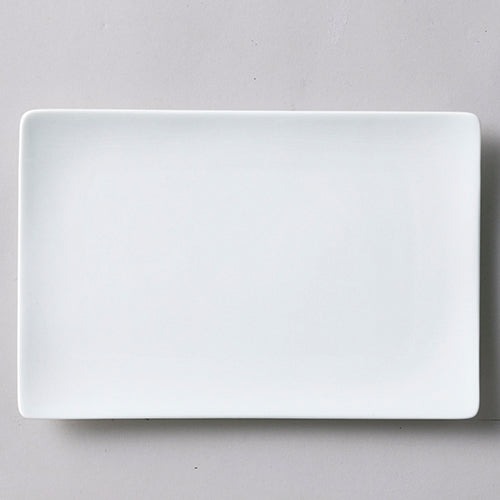546-00012 ALPHA(アルファ) 24×16cm長角皿