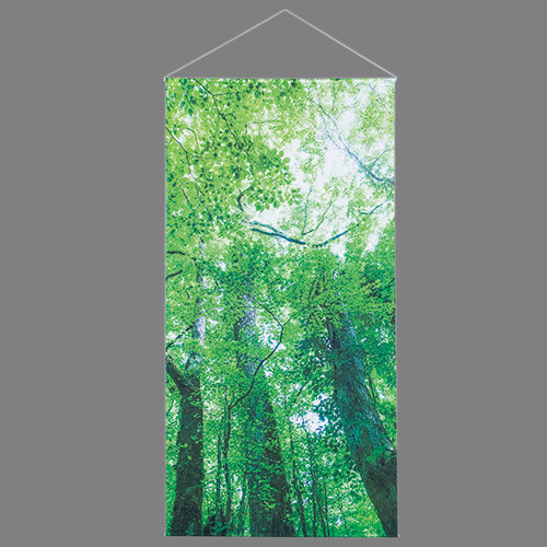 210-10003 新緑木漏れ日イメージ防炎タペストリー