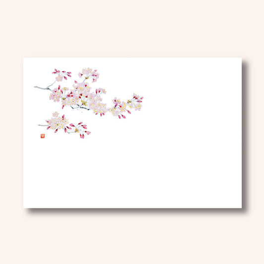 201-60019　尺5上質紙マット 桜(3・4月)