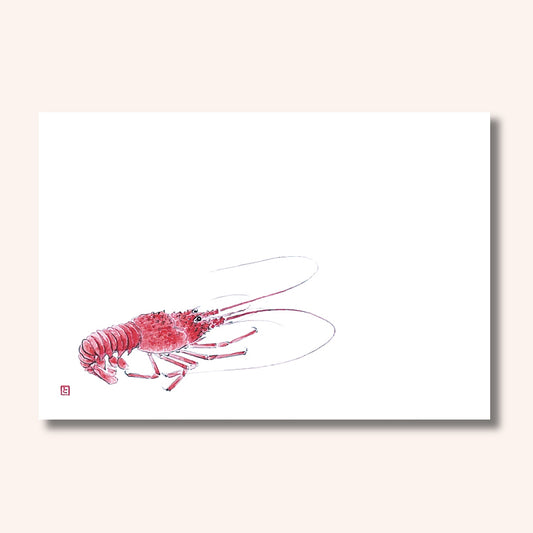 201-10078　38cm上質紙マット 伊勢海老(オールシーズン)