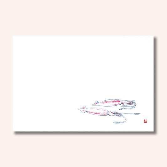 201-10080　38cm上質紙マット 活イカ(オールシーズン)