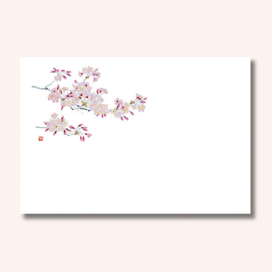 201-10122　38cm上質紙マット 桜 (3・4月)
