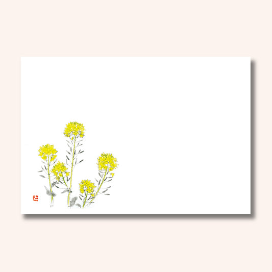 192-10036　尺3雲竜和紙マット  菜の花(3・4月)