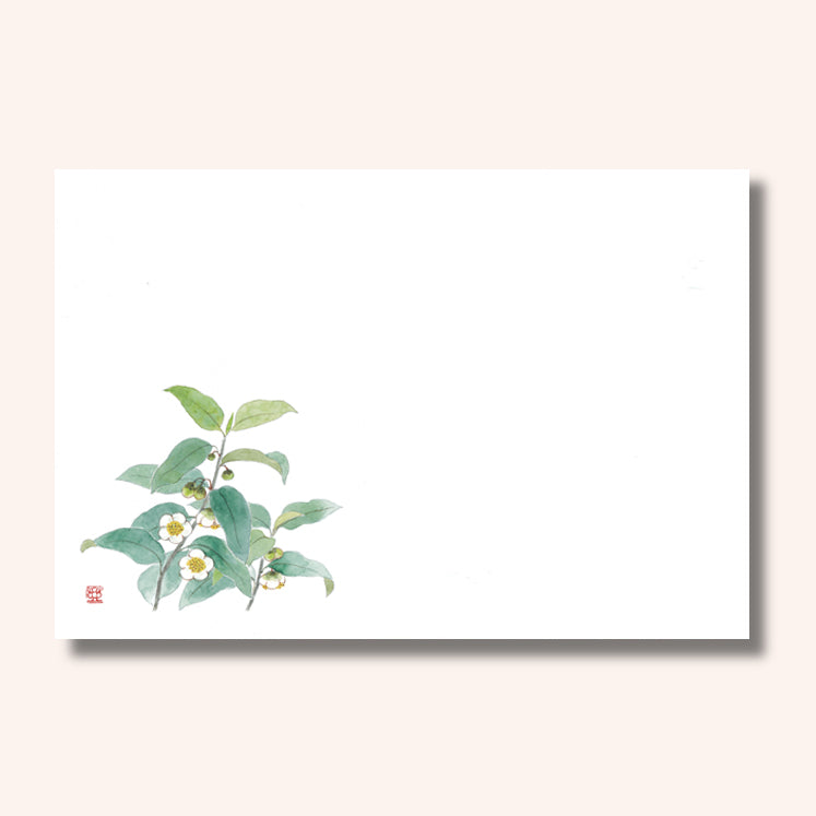 201-10156　38cm上質紙マット 新お茶の花 (5月)