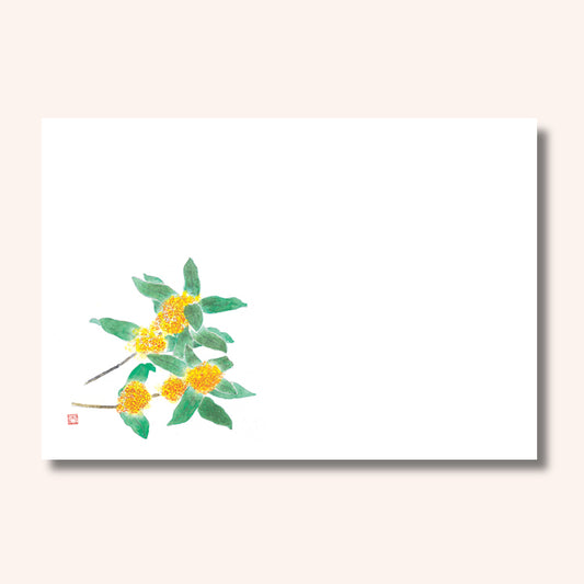 201-10231　38cm上質紙マット キンモクセイ(9・10月)