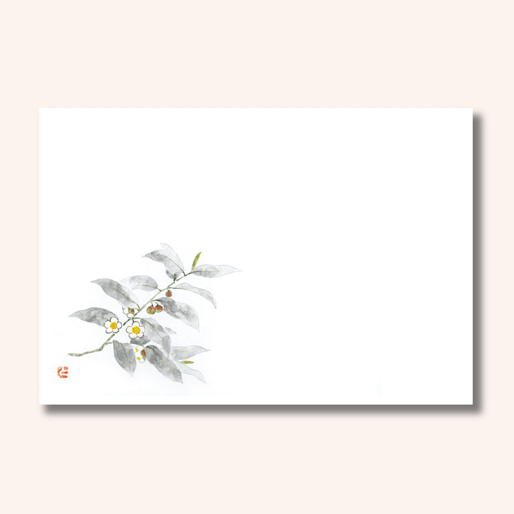 201-10301　38cm上質紙マット 茶の花 (5月)