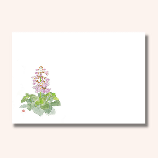 201-10302　38cm上質紙マット 桐の花 (5月)