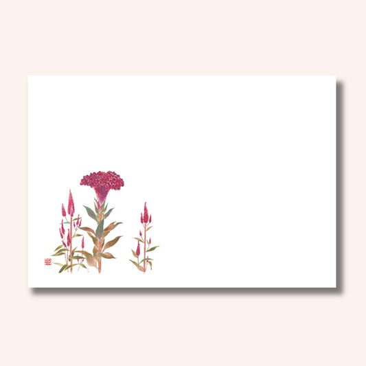 201-10309　38cm上質紙マット ケイトウ(8～10月)