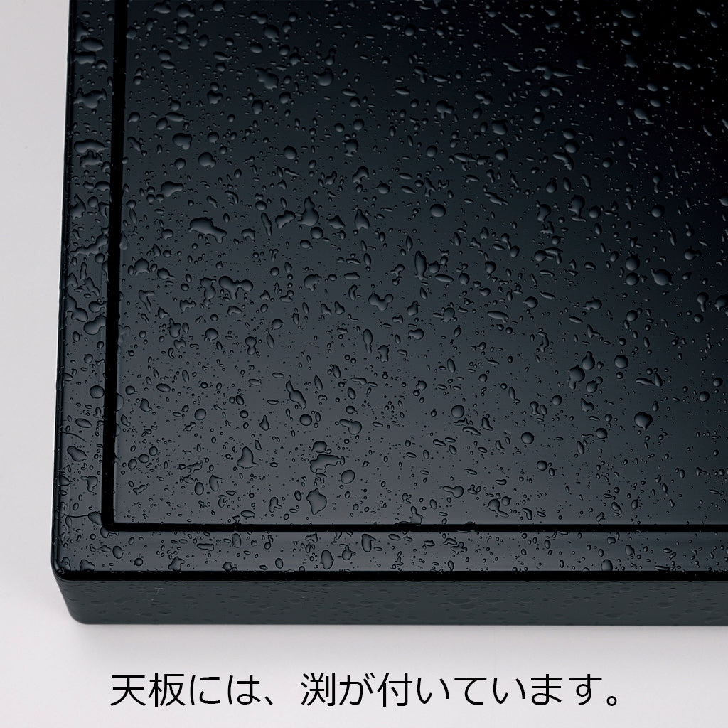 330-95132　洛都膳　膳のみ<渕あり>　黒石目