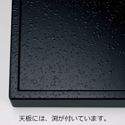 330-95132　洛都膳　膳のみ<渕あり>　黒石目