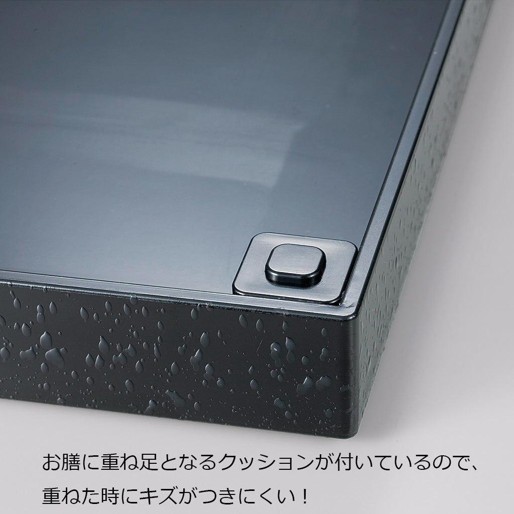 330-95132　洛都膳　膳のみ<渕あり>　黒石目