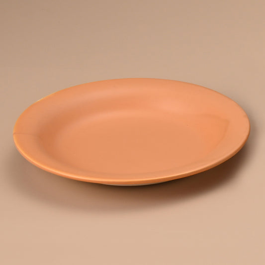 501-00343　茶柳川皿(大)