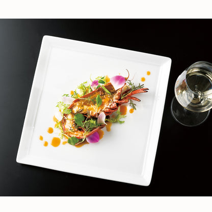 503-00051　An hors d'oeuvre(オードブル) 25cm四角皿