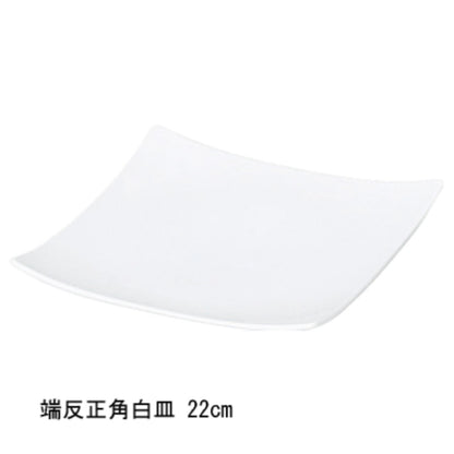 端反正角白皿