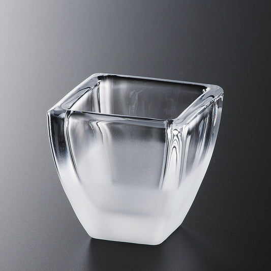 111-10059　CA-P107F