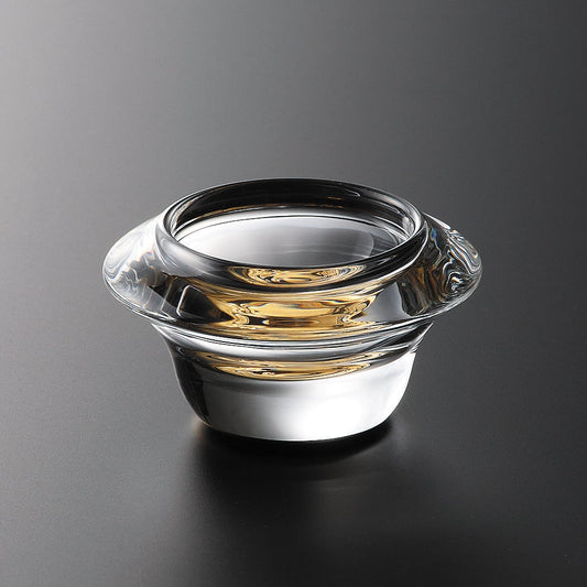 111-10046　CA-P113G