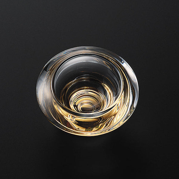 111-10046　CA-P113G