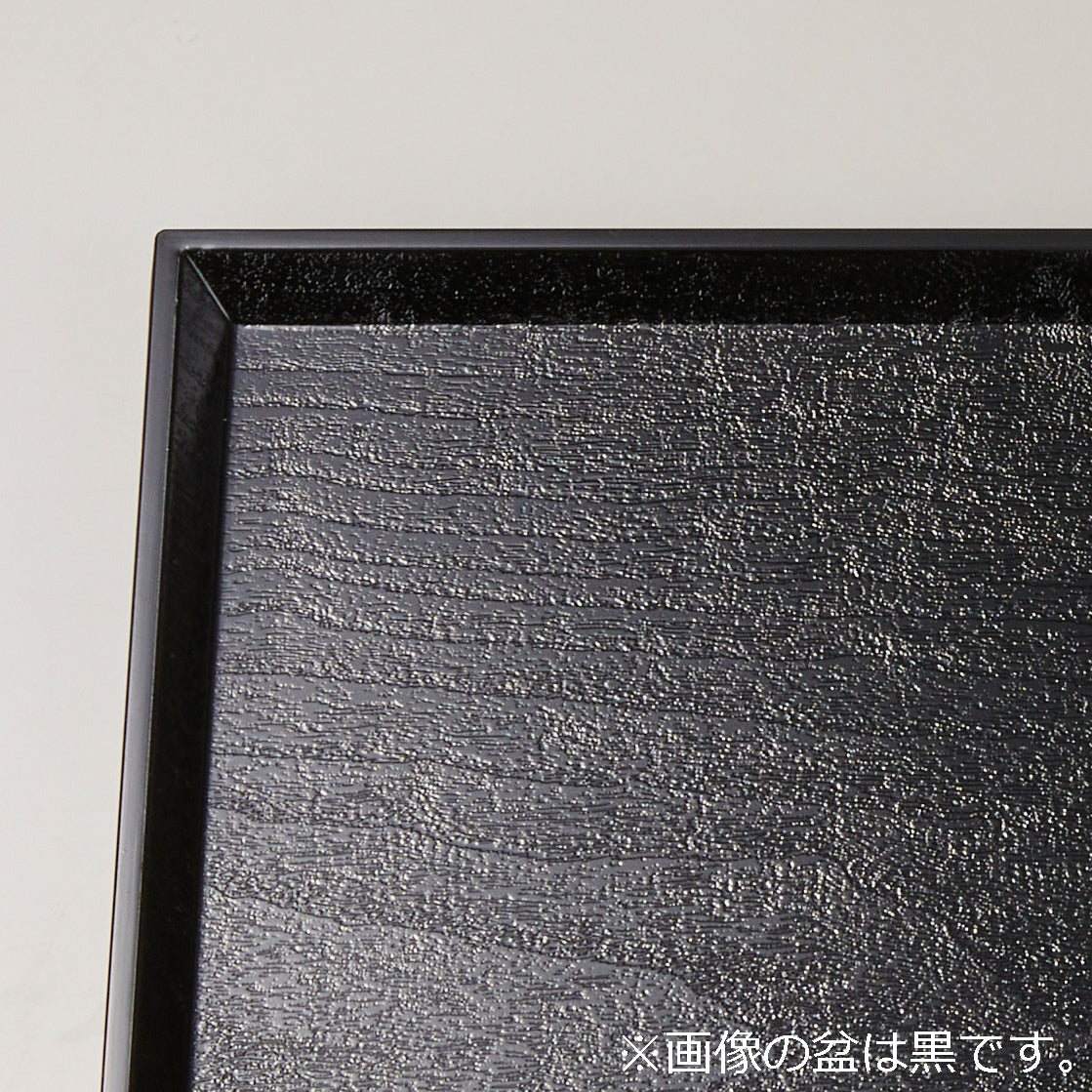 峰定盆　メイプル(ベージュ木目)耐熱　ノンスリップ盆