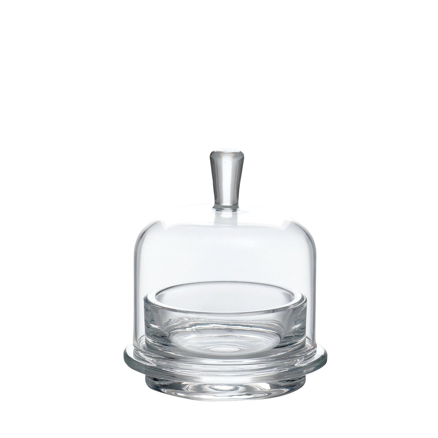 138-10701　ミニケーキドーム　TS44013