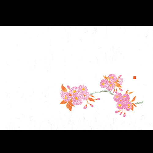 201-10124 38cm上質紙マット 満開桜 (3・4月)